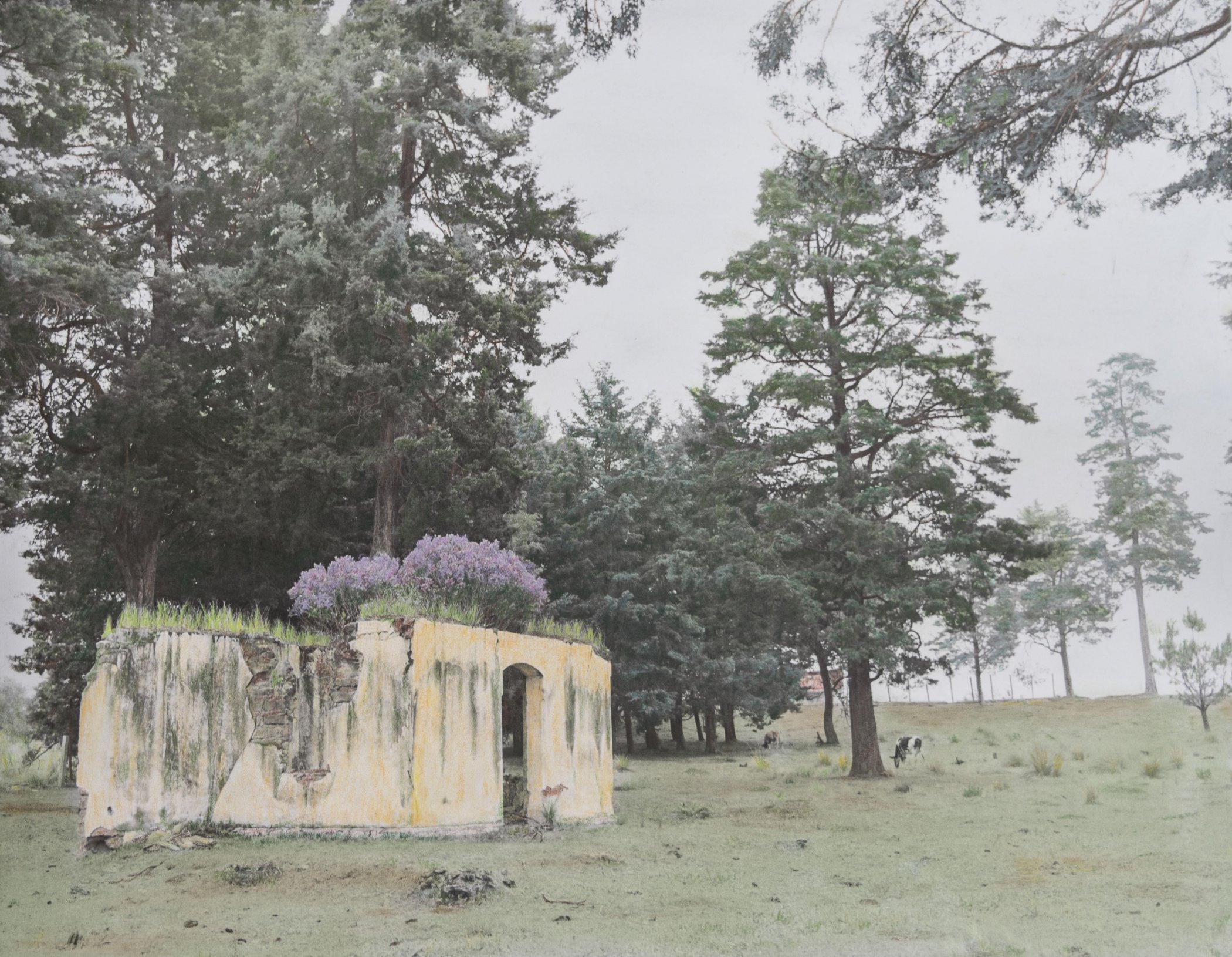 Abandoned House, Quezaltenango, Guatemala