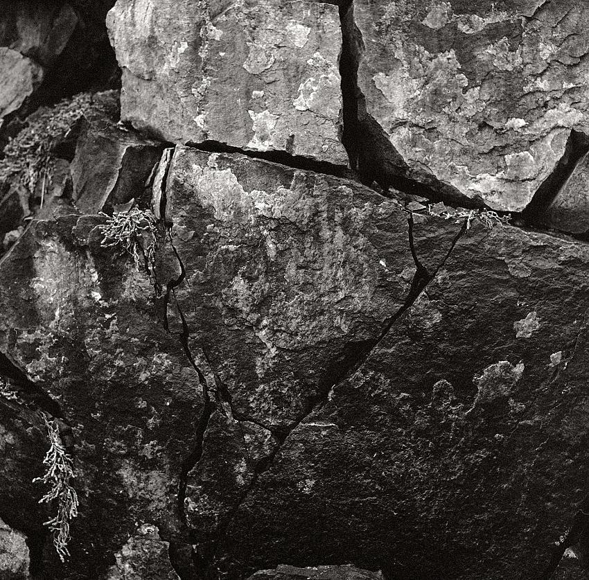 abandoned quarry