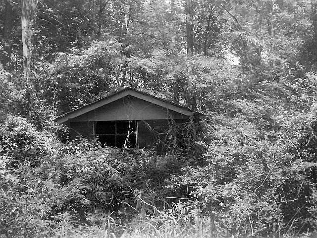 Abandoned