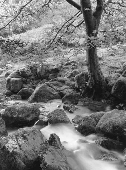 Above Grasmere