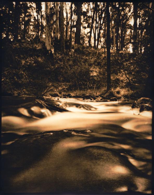 Above Trentham Falls