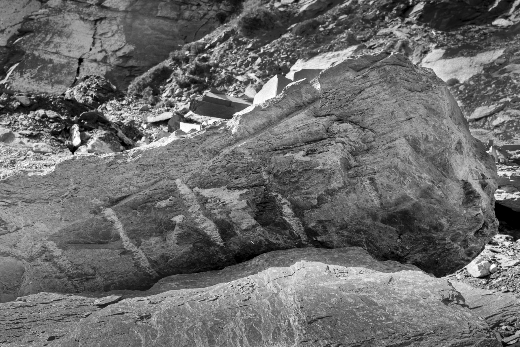 Abstract Rocks