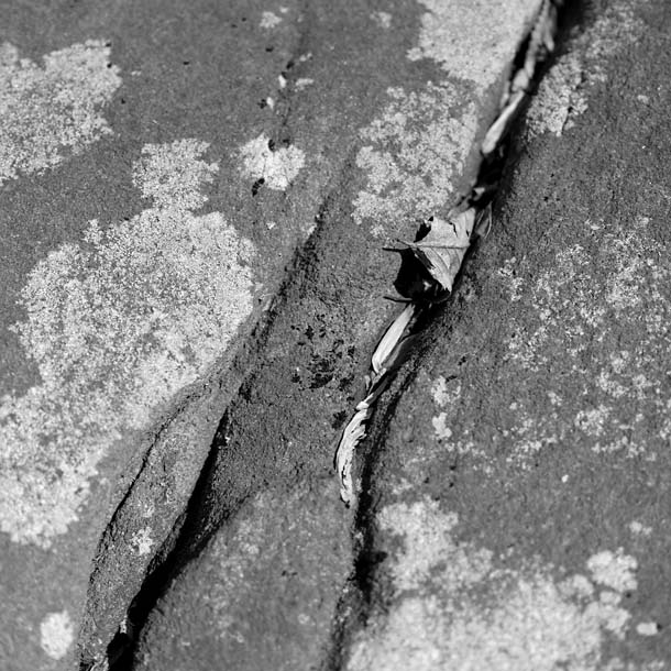 Abstracts