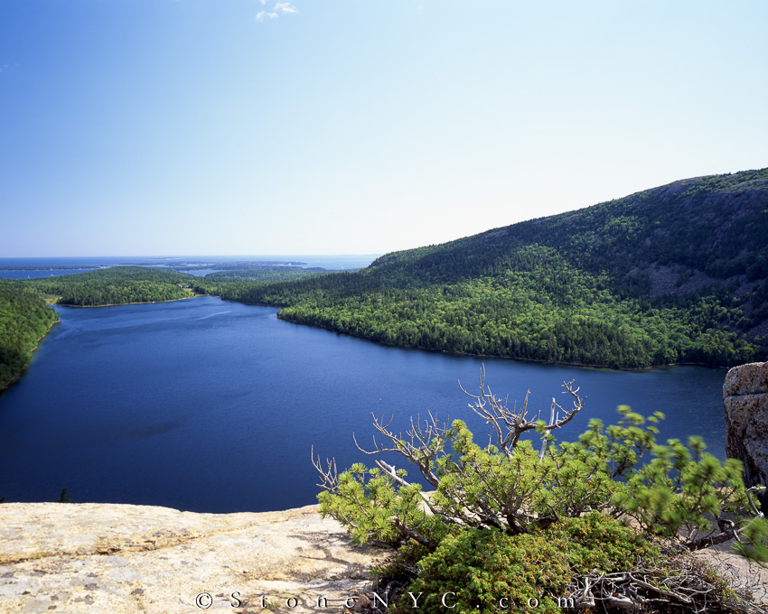 Acadia National Park in living color