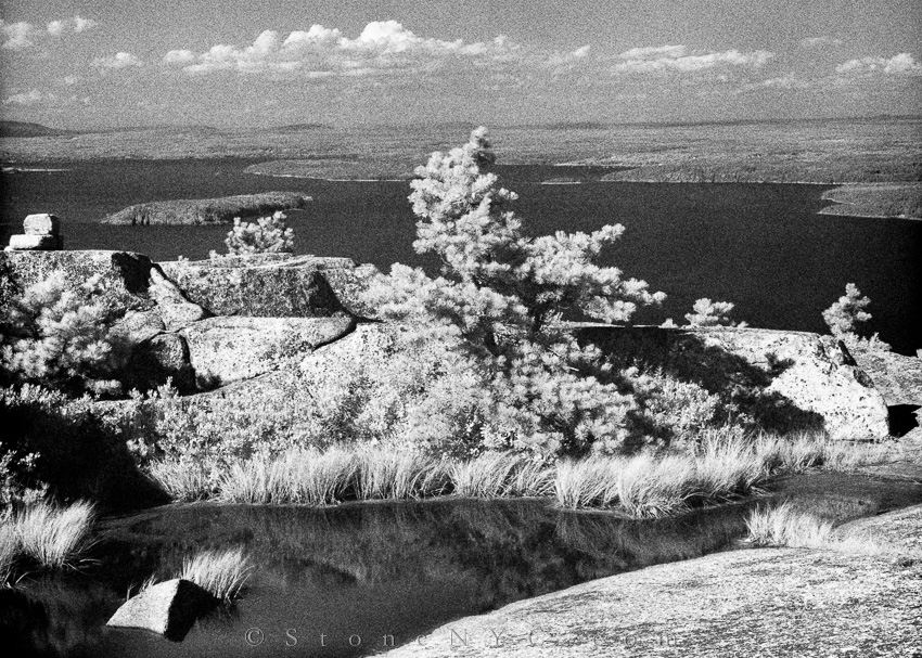 Acadia National Park - More IR Experiments 3