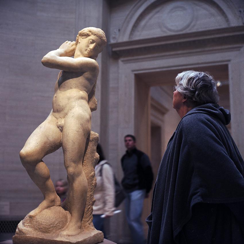 Admiring Michelangelo's David/Apollo