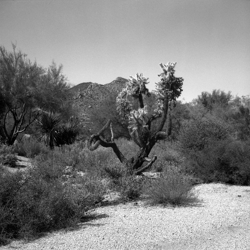 After Desert Coffee