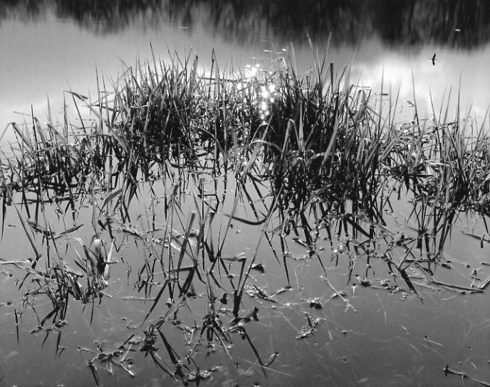 After The Rain