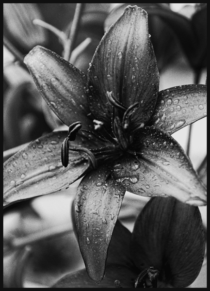 After the Rain