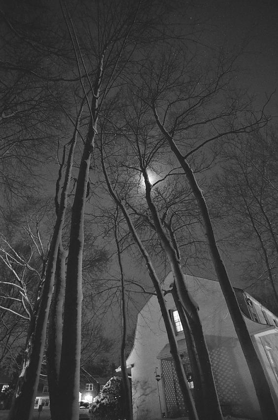 After the Snow