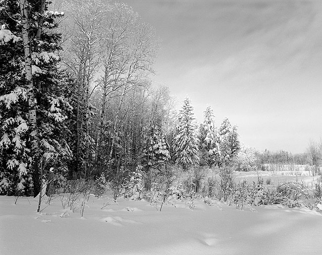 After the Snow