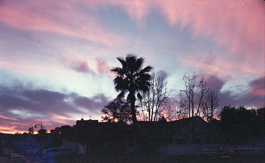 After the storm