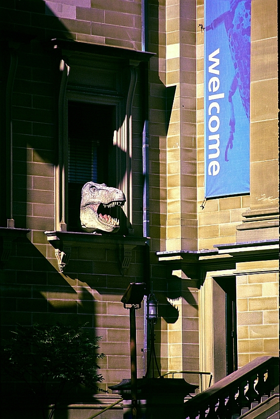 Afternoon at the Museum