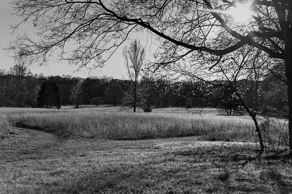 Afternoon walk at Old Stone Fort #2
