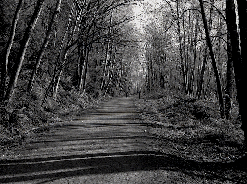 Afternoon Walk