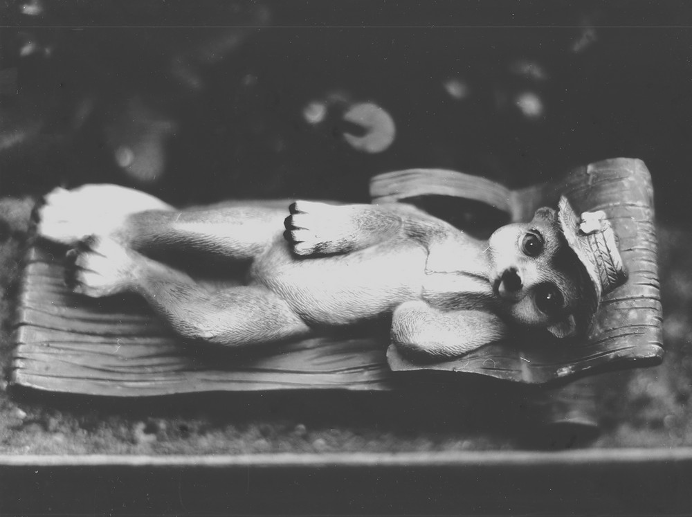 Agfa Ortho Document Film 01