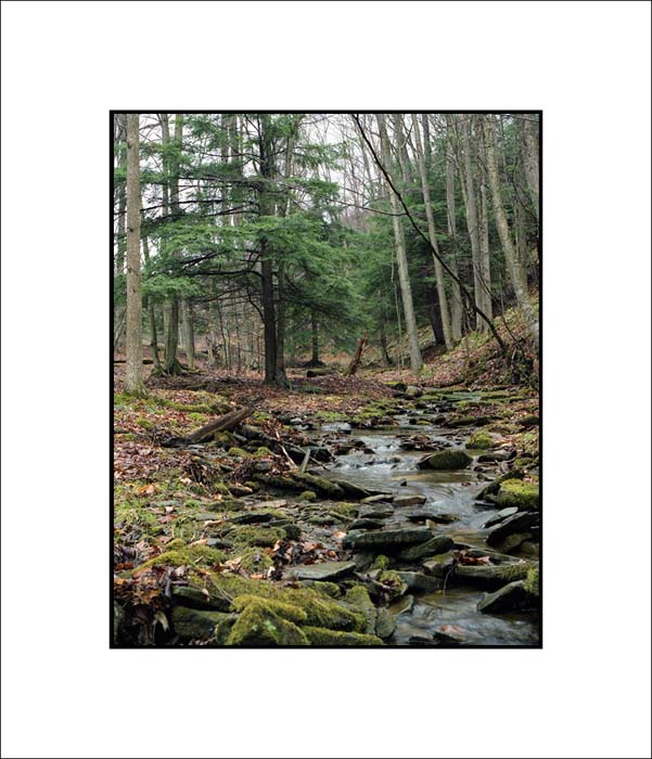 Ainsley Hollow  #2