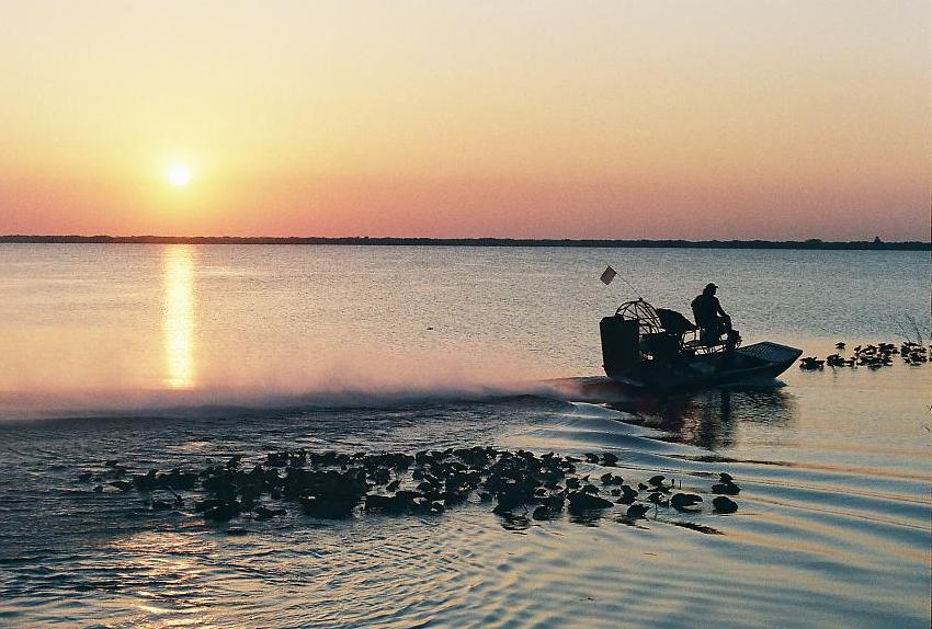 Airboat at Sunset