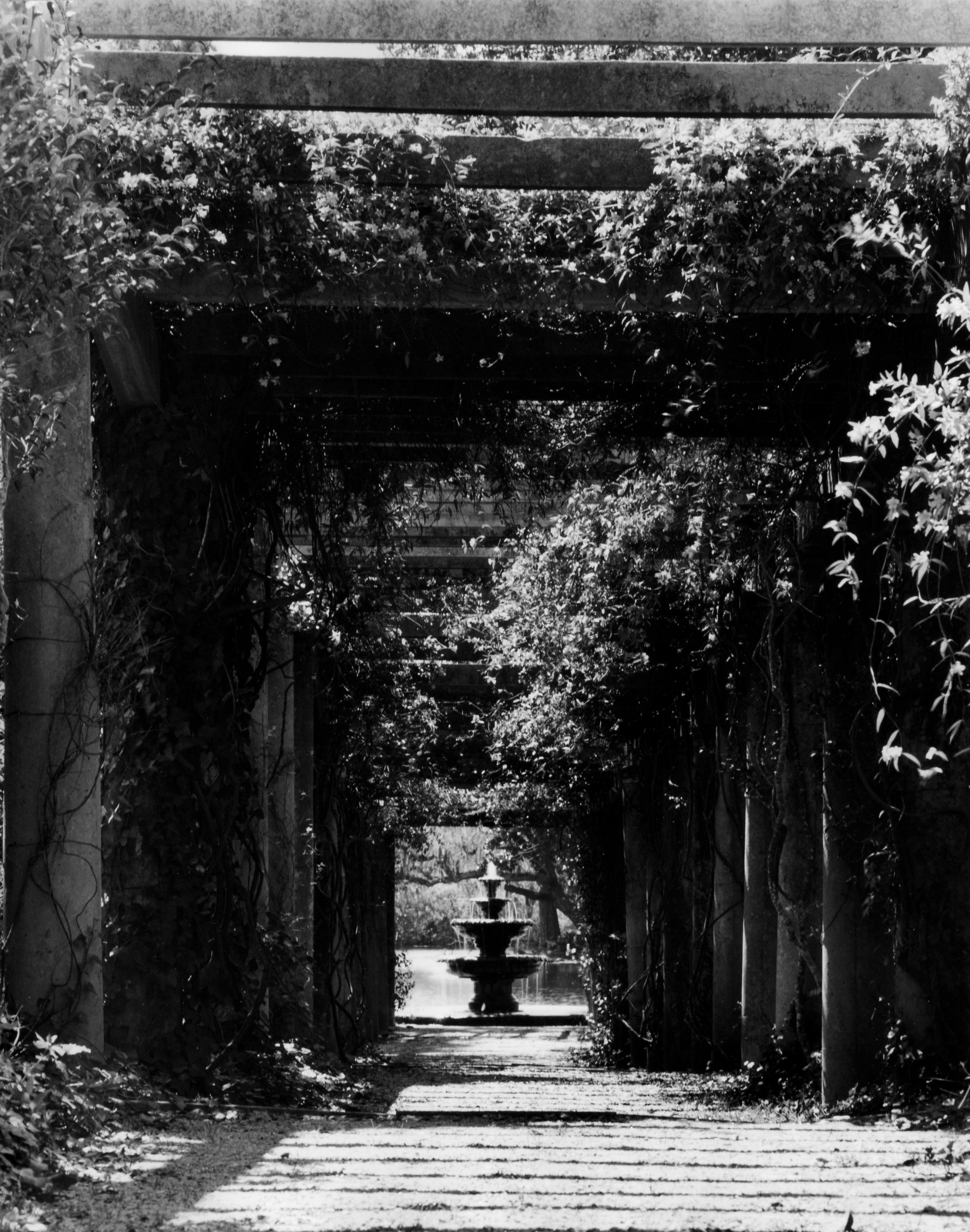 Airlie Gardens