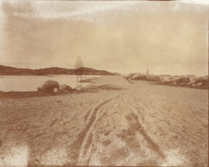 Albumen no 2