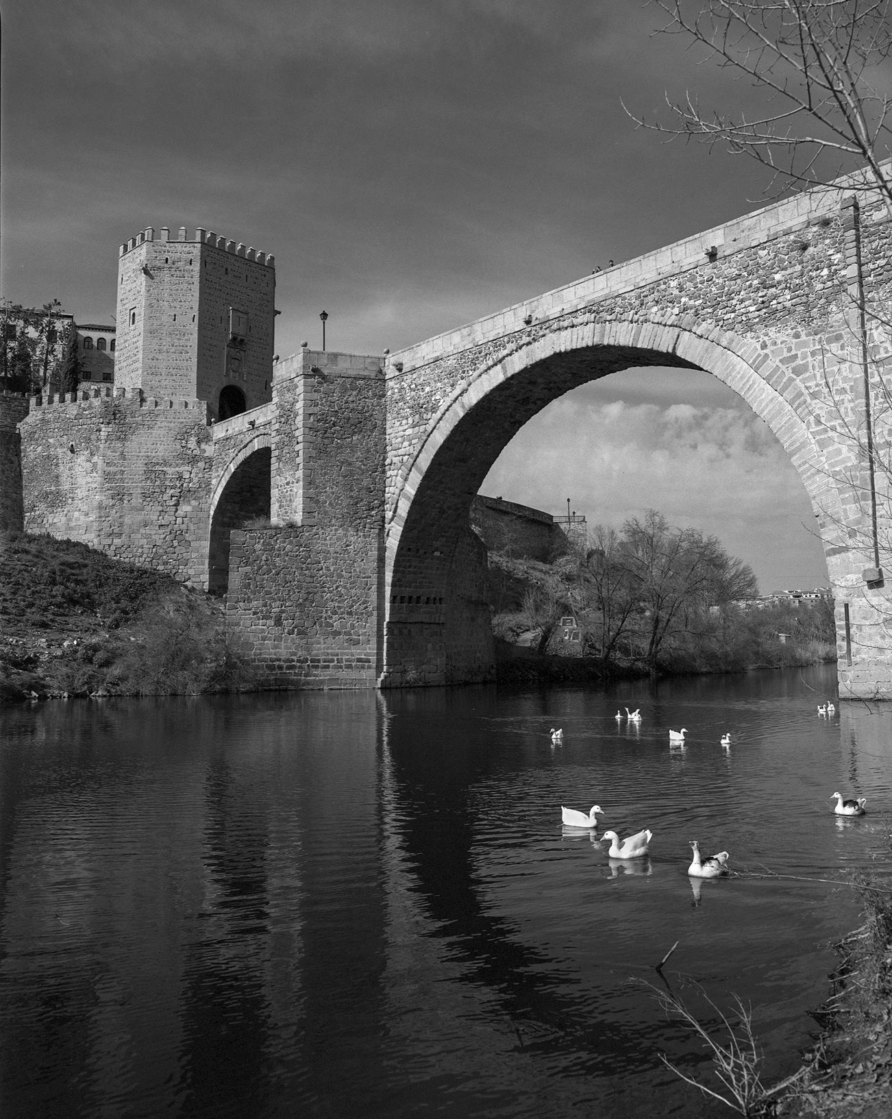 Alcantara bridge