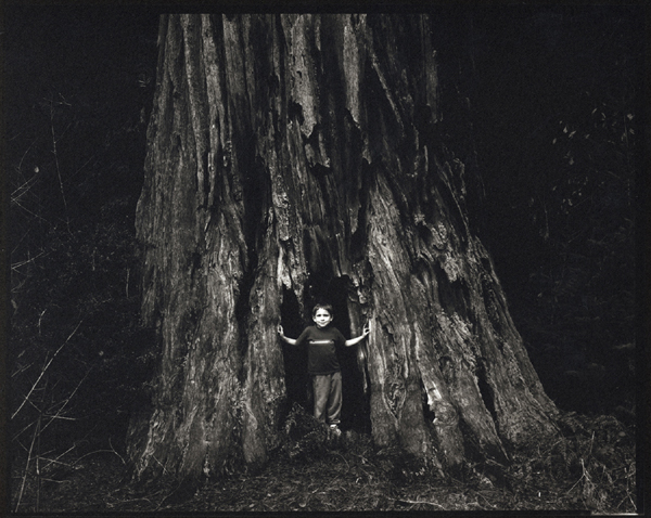Alex, Redwood