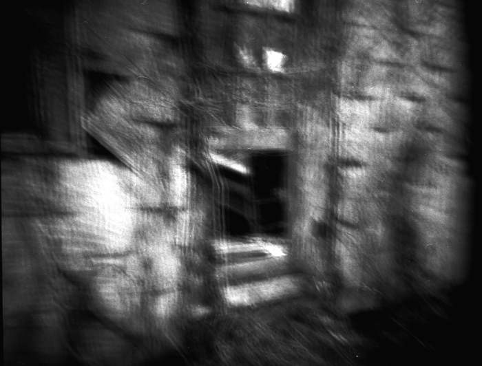 Alice5 chasing the rabbit