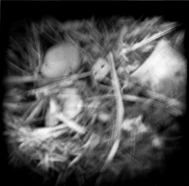 Alice5 perring down the rabbit hole