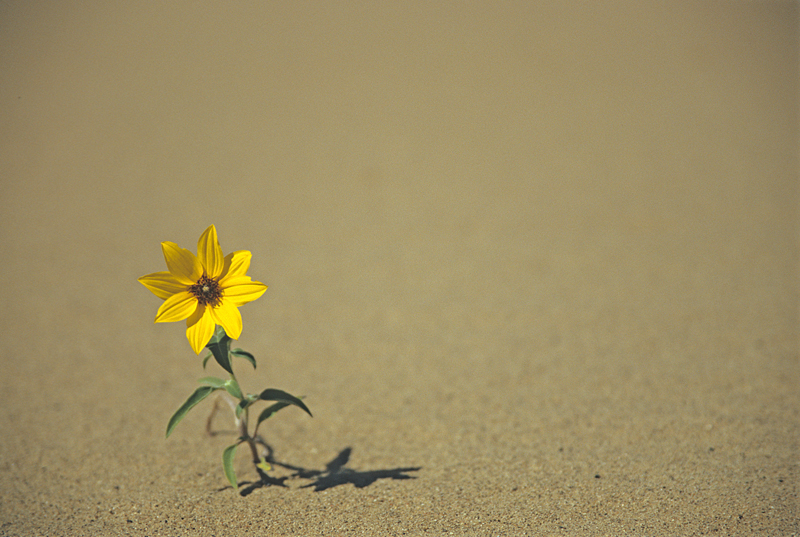 All Alone