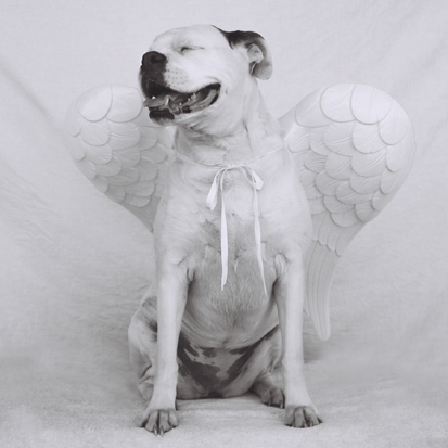 All Dogs Go to Heaven