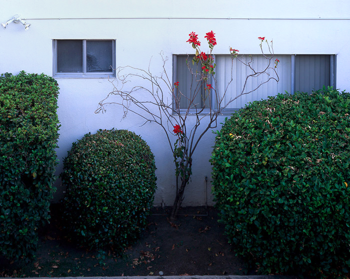 alley