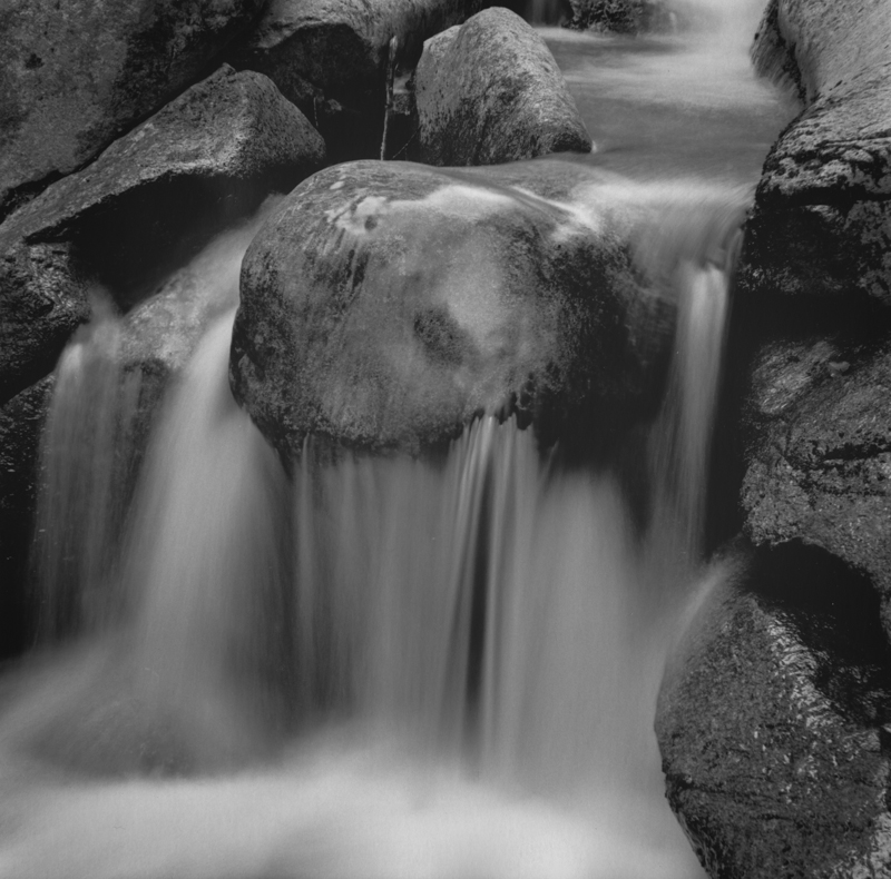 Along Basin Creek