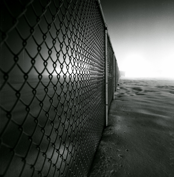 Along the Fence