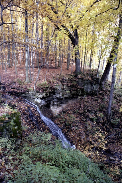 Along the Niagara Escarpment