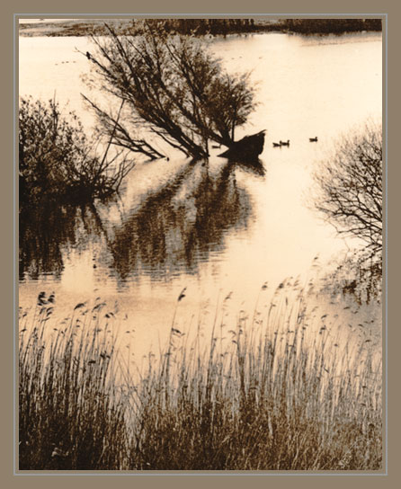 Along The River