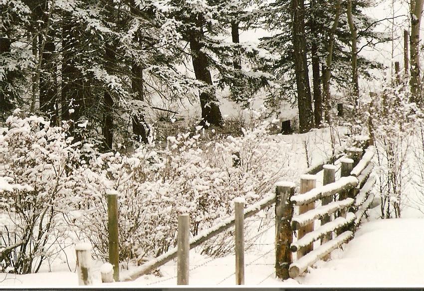 Along the trail