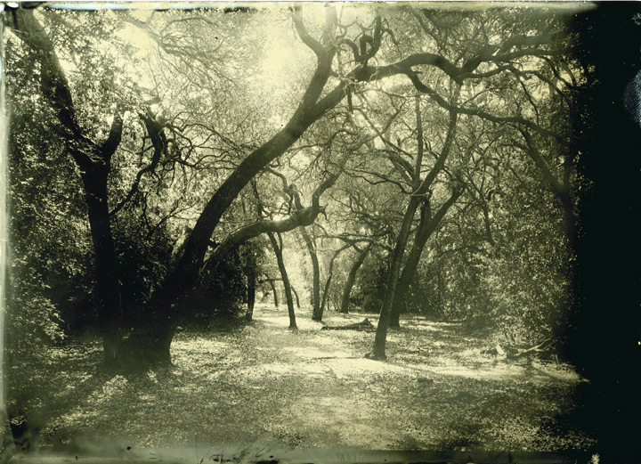 Alumitype Park