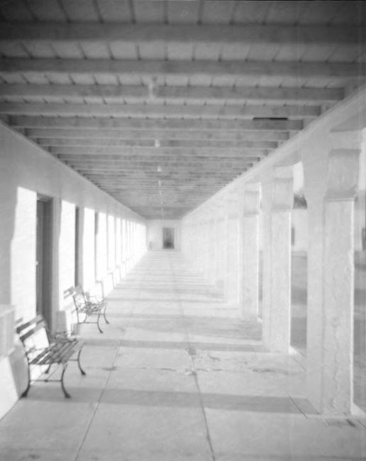 Amargosa Dreams