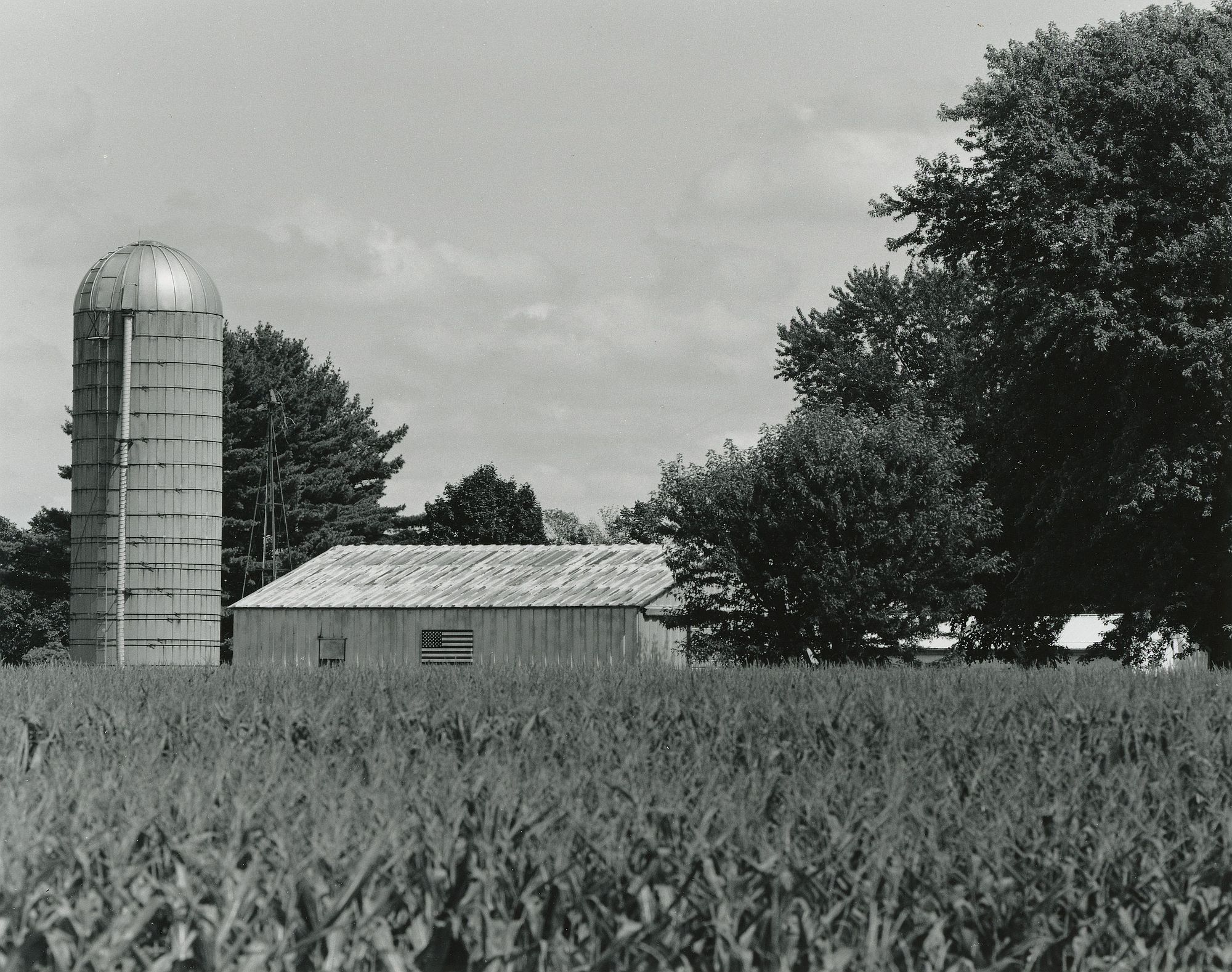 American Farm