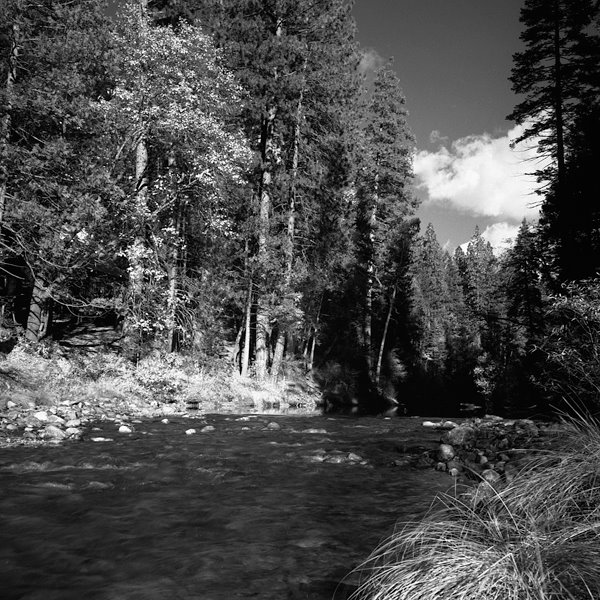 American River