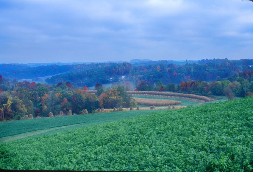 Amish Fall