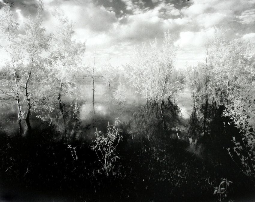 An invisible view of a strange little pond