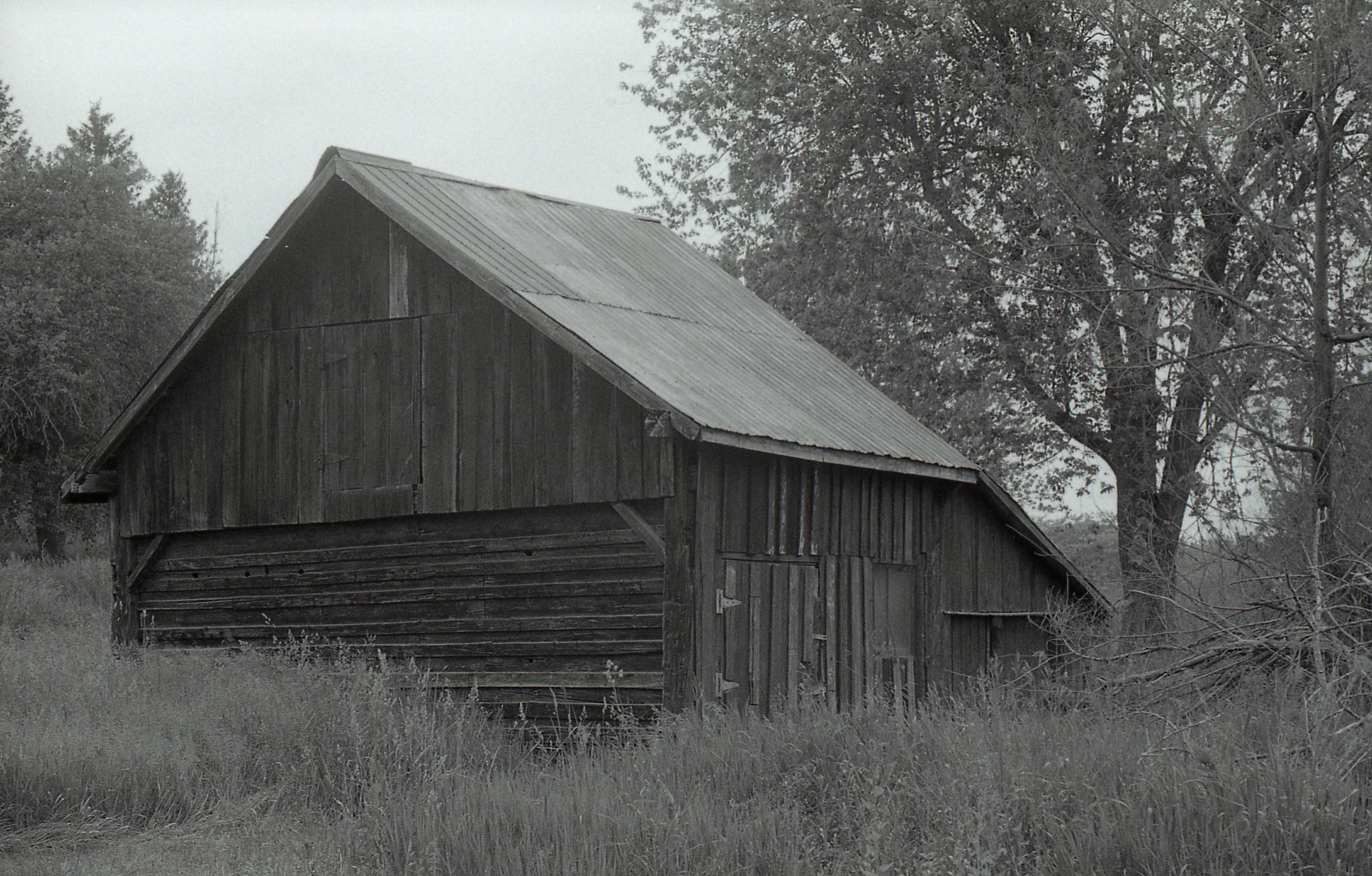 An Old Shed