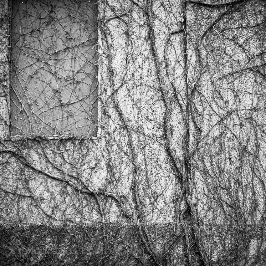 And all will be taken back - Insane Experiments in Efke 127