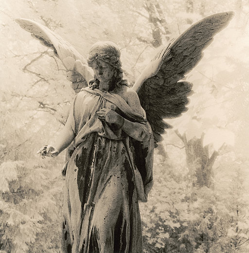 Angel #4