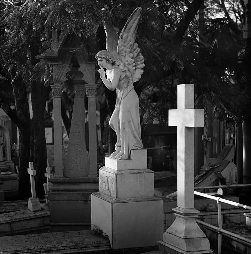 Angel of silence