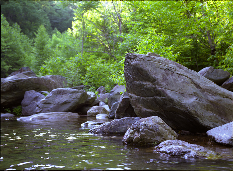 Another from the hike...