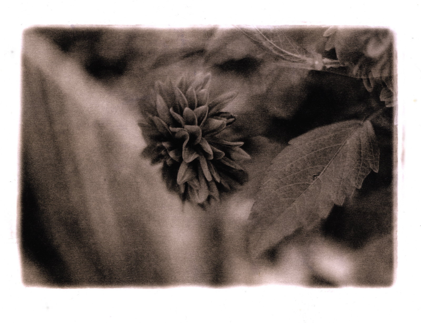Another Lith print