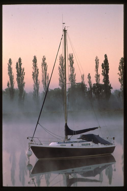 Another Misty Morning.