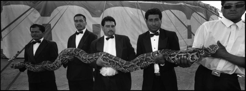 another one of the python